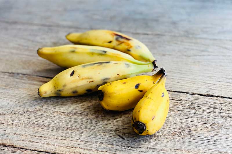 Martha’s Localized Caramelized Banana Mochi Cake Recipe – Farm Link Hawaiʻi